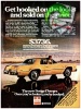 Dodge 1976 4.jpg